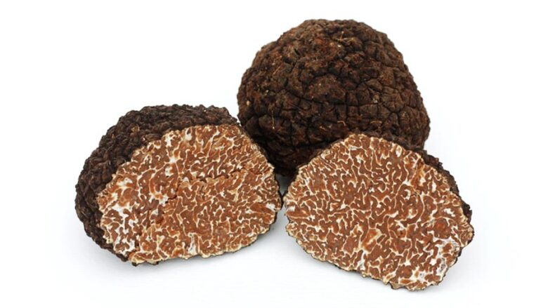 Truffle UNCINATO 1kg (Tuber uncinatum Chatin) 