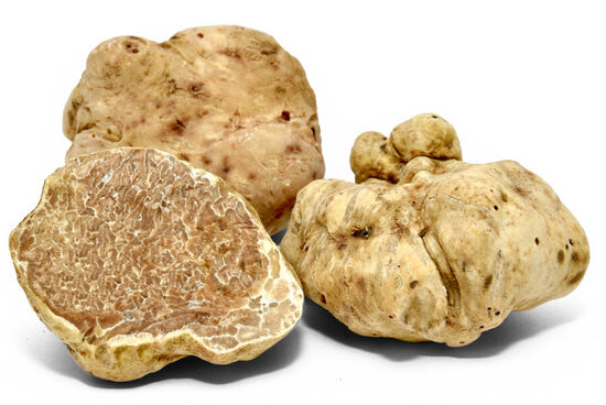 Truffle BIANCO (Tuber magnatum Pico) 1kg first choice